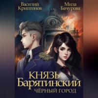 Мила Бачурова. Князь Барятинский 3. Чёрный город