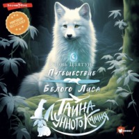 Чэнь Цзятун. Тайна Лунного камня