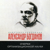 . Очерки организационной науки