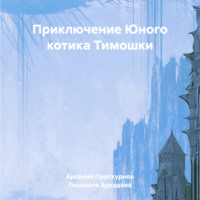 Арсений Александрович Проскурнов. Приключение Юного котика Тимошки