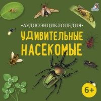 . Аудиоэнциклопедия. Удивительные насекомые