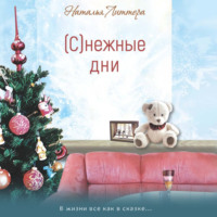 Наталья Литтера. (С)нежные дни