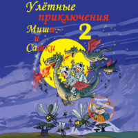 . Улётные приключения Миши и Сашки 2