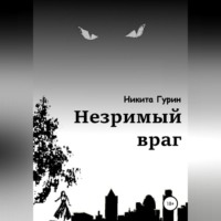 Никита Гурин. Незримый враг