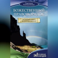 Светлана Калашникова. Божественный правопорядок. Истинный смысл жизненных явлений