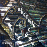 Михаил Стригин. Шествие с ума