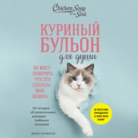 . Куриный бульон для души. Не могу поверить, что это сделала моя кошка! 101 история об удивительных выходках любимых питомцев