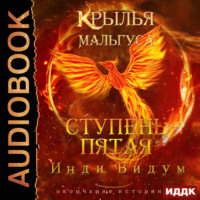 Инди Видум. Крылья Мальгуса. Ступень пятая