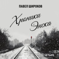 Павел Широков. Хроники Энска