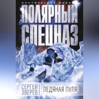 Сергей Зверев. Ледяная пуля