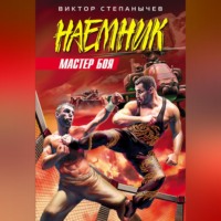 Виктор Степанычев. Мастер боя