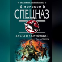 Сергей Зверев. Акула в камуфляже