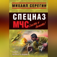 Михаил Серегин. Тайна черного ящика