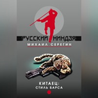 Михаил Серегин. Стиль барса