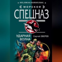 Сергей Зверев. Ударная волна