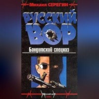 Михаил Серегин. Бандитский спецназ