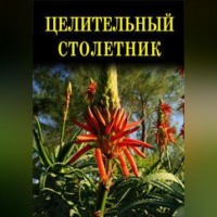Иван Дубровин. Целительный столетник