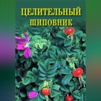 Иван Дубровин. Целительный шиповник