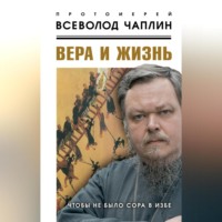 протоиерей Всеволод Чаплин. Вера и жизнь