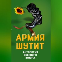 Валерий Шамбаров. Армия шутит. Антология военного юмора
