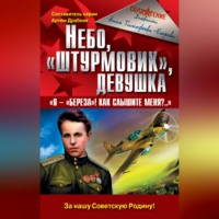 Анна Тимофеева-Егорова. Небо, «штурмовик», девушка. «Я – „Береза!“ Как слышите меня?..