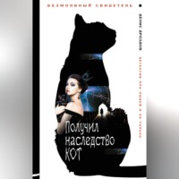 Денис Дроздов. Получил наследство кот