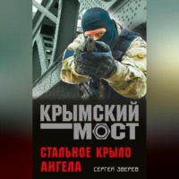 Сергей Зверев. Стальное крыло ангела