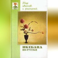 Галида Султанова. Икебана по-русски