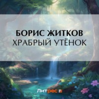 Борис Житков. Храбрый утёнок