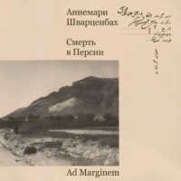 Аннемари Шварценбах. Смерть в Персии