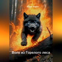 . Волк из Горелого леса