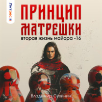 . Принцип матрешки
