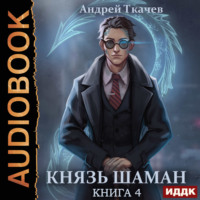 Андрей Ткачев. Князь шаман. Книга 4