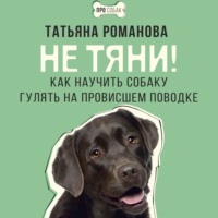 Татьяна Романова. Не тяни! Как научить собаку гулять на провисшем поводке