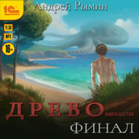 Андрей Рымин. Древо VI Финал