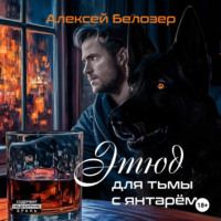 . Этюд для тьмы с янтарём