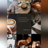 Ана Стаси. Истории маленькой кофейни. Знакомство