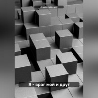 Андрей Швецик. Я – враг мой и друг