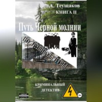 Александр Александрович Теущаков. Путь Черной молнии 2