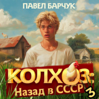 . Колхоз. Назад в СССР. Книга 3