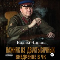 Вадим Владимирович Чинцов. Важняк из двухтысячных. Внедрение в ЧК