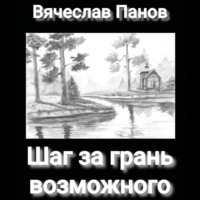 Вячеслав Владимирович Панов. Шаг за грань возможного