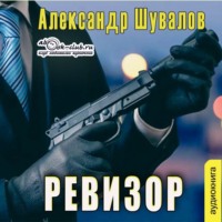. Ревизор