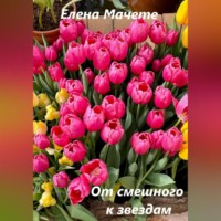 Елена Мачете. От смешного к звездам