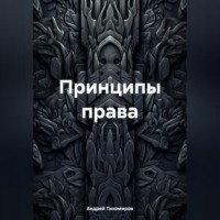 . Принципы права