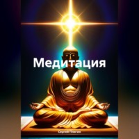 Сергей Плигин. Медитация