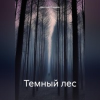 Дмитрий Порядин. Темный лес
