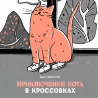 Дарья Николаевна Дубровская. Приключения кота в кроссовках