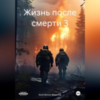 Константин Федотов. Жизнь после смерти 3