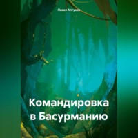 Павел Владимирович Алтухов. Командировка в Басурманию